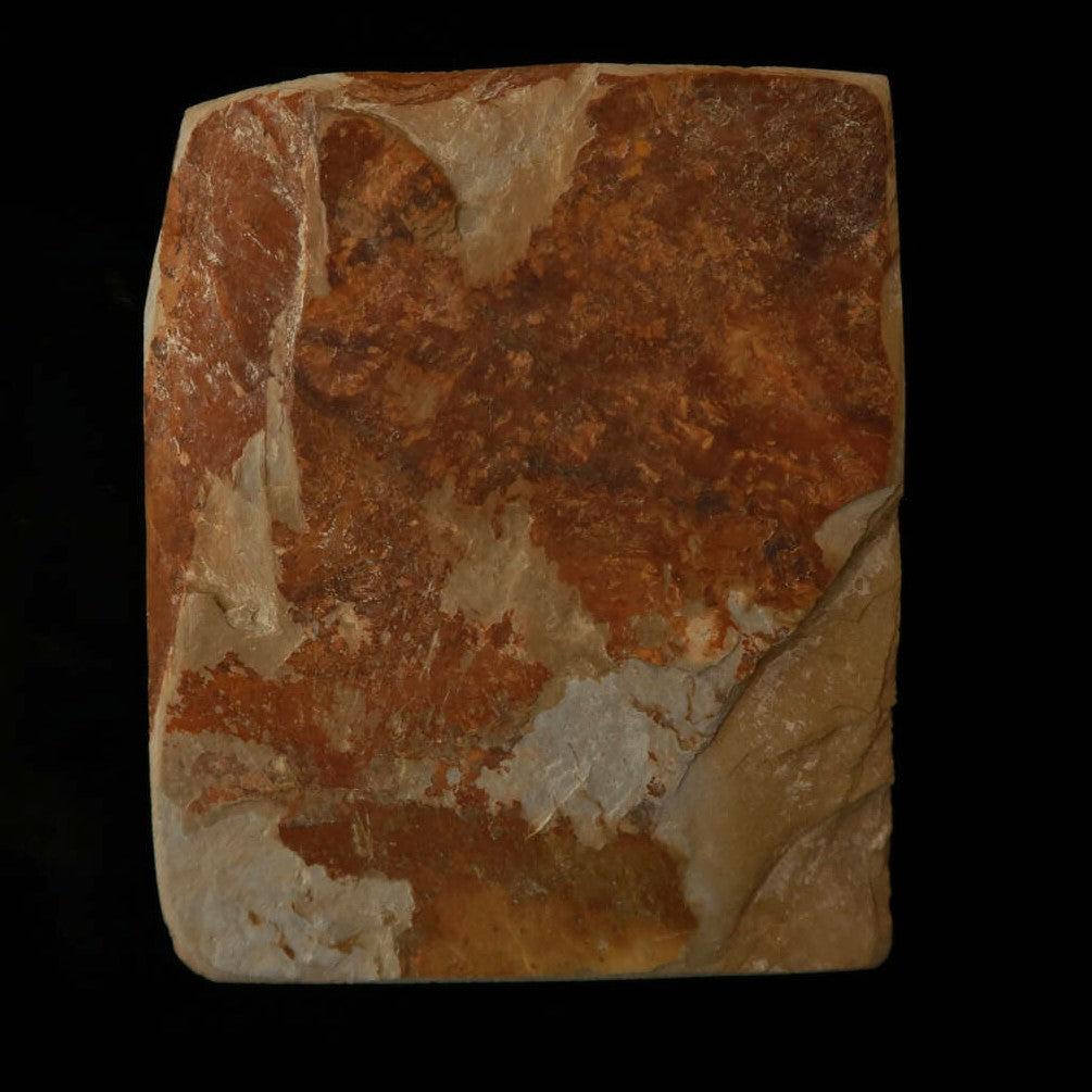 天然砥石　中山 合砥 コッパ　69×85×23mm