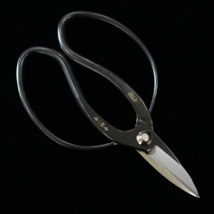 Tesoura MIURA Okubo Taisoku-in aço Aogami nº1, caixa preta (180mm)