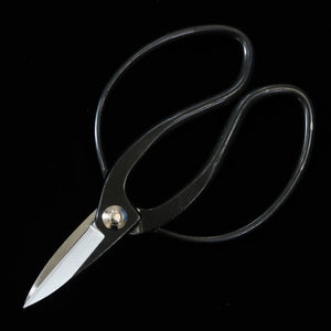 Tesoura MIURA Okubo Taisoku-in aço Aogami nº1, caixa preta (180mm)