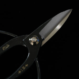 Tesoura MIURA Okubo Taisoku-in aço Aogami nº1, caixa preta (180mm)