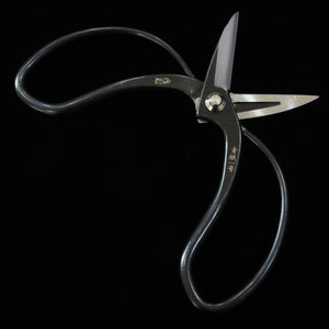Tesoura MIURA Okubo Taisoku-in aço Aogami nº1, caixa preta (180mm)