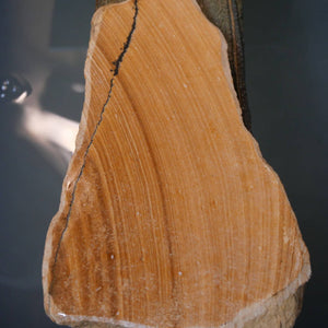 Miotsukushihime Pedra de Afiar Natural Iyo-Meito T50 Veios Vermelhos 112×207×20 mm