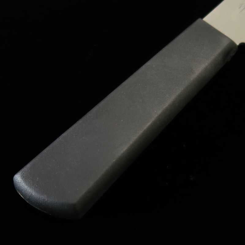 MASAHIRO BETSUSAKU Sujihiki Manche en résine (240/270 mm)
