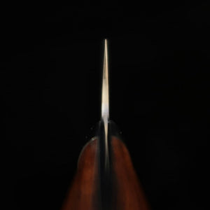 Takeshi Saji Gyuto R2 Damascus Ironwood (180-240mm)