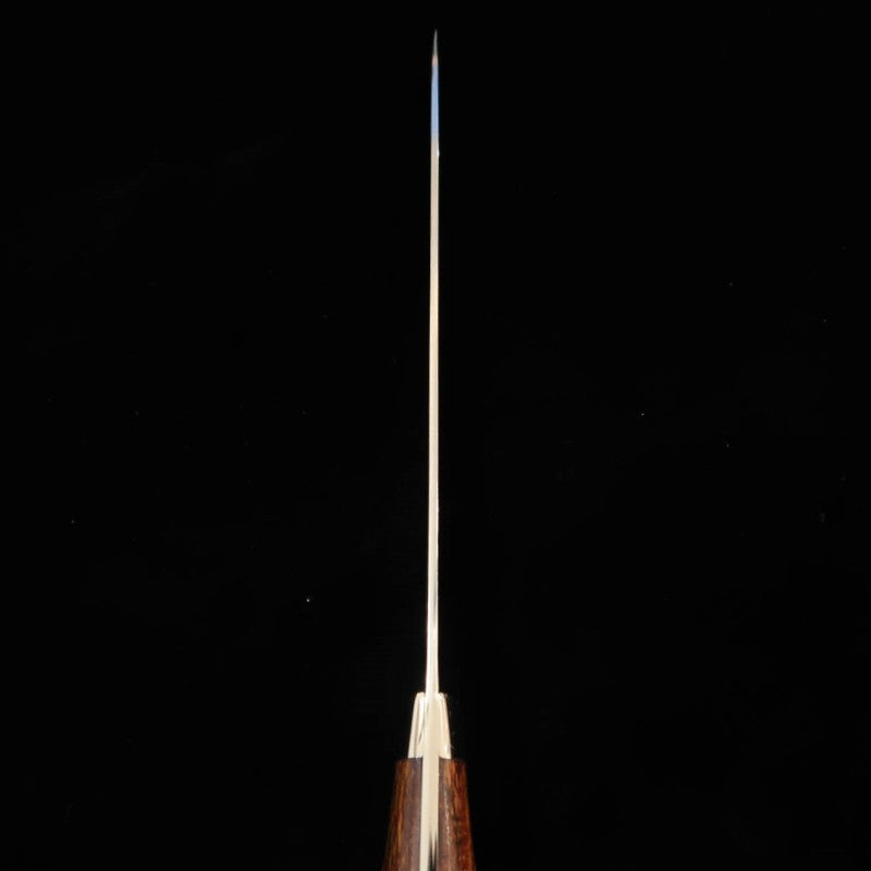 Takeshi Saji Gyuto R2 Damascus Ironwood (180-240mm)