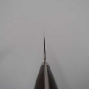 Takeshi Saji Aogami No. 2 Gyuto Colored Damascus Ironwood Handle (180-240mm)