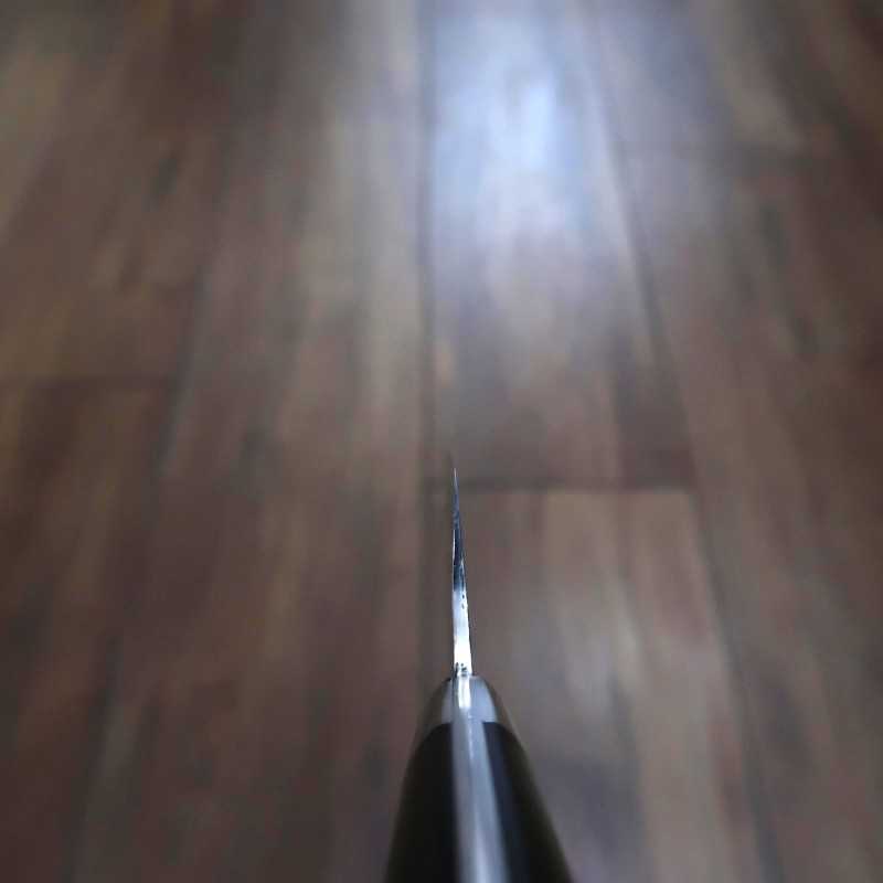 SAJI TAKESHI R2 Diamond Finish Gyuto, mango de micarta negra (210 mm)