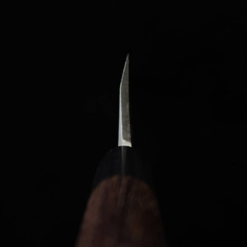 MIURA Deba Aogami No. 2 Damascus Rosewood handle (150-180mm) 