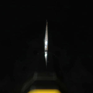 Sujihiki TADOKORO HAMONO Makoto Mirror Finish Aogami No. 2 Kiritsuke 
Custom Handle (300mm) 