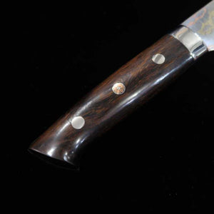 SAJI TAKESHI Nakiri Aogami #2 Rainbow Damasco, cabo de ironwood (165mm)