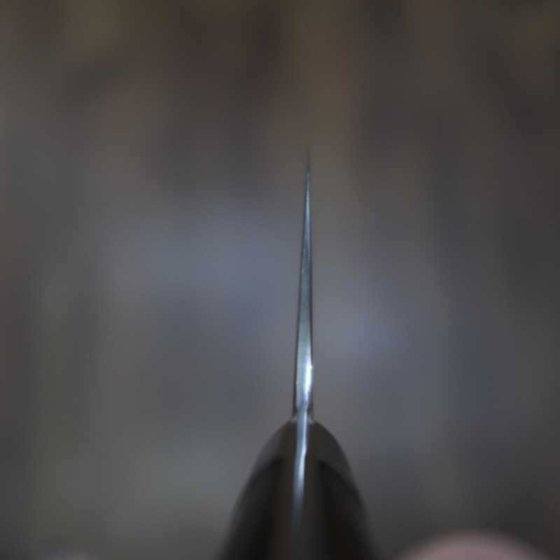 SAJI TAKESHI Nakiri Aogami #2 Rainbow Damasco, cabo de ironwood (165mm)