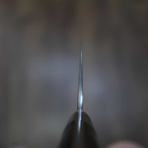 SAJI TAKESHI Nakiri Aogami #2 Rainbow Damasco, cabo de ironwood (165mm)
