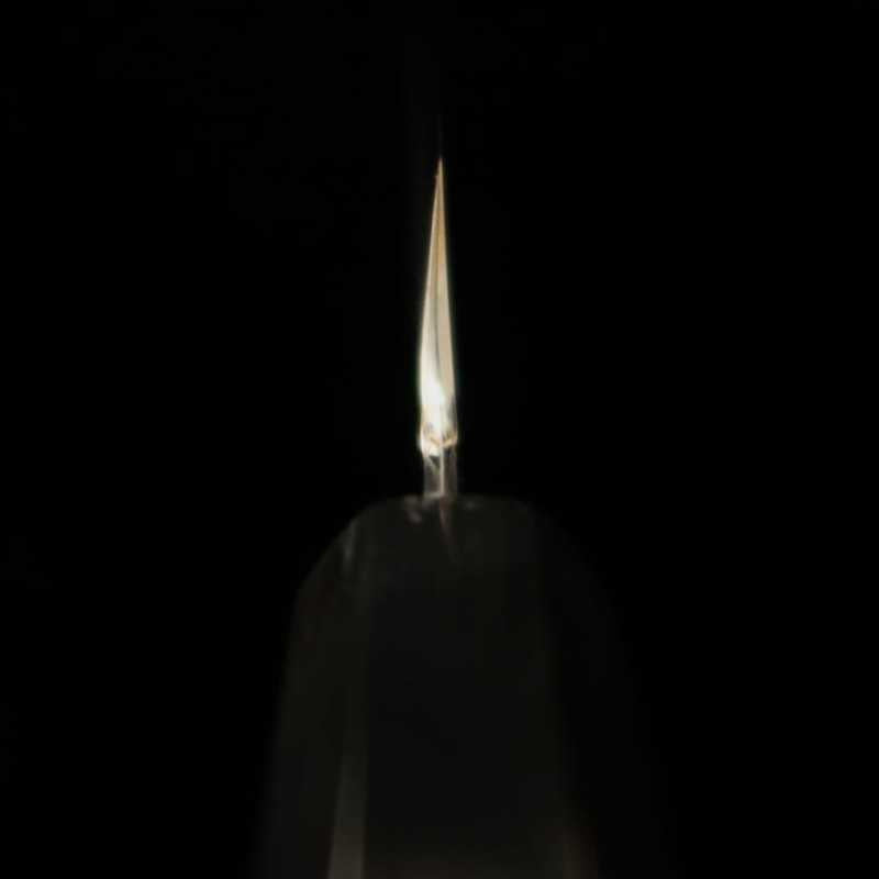 Sakimaru Takohiki TADOKORO HAMONO Makoto Mirror Finish Silver No. 3 Steel with Ebony Handle (300mm)