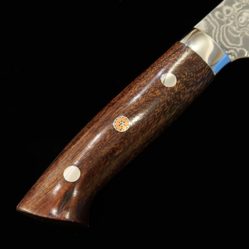 Saji Takeshi SAJI TAKESHI Santoku R2 Damasco Ironwood (180mm)
