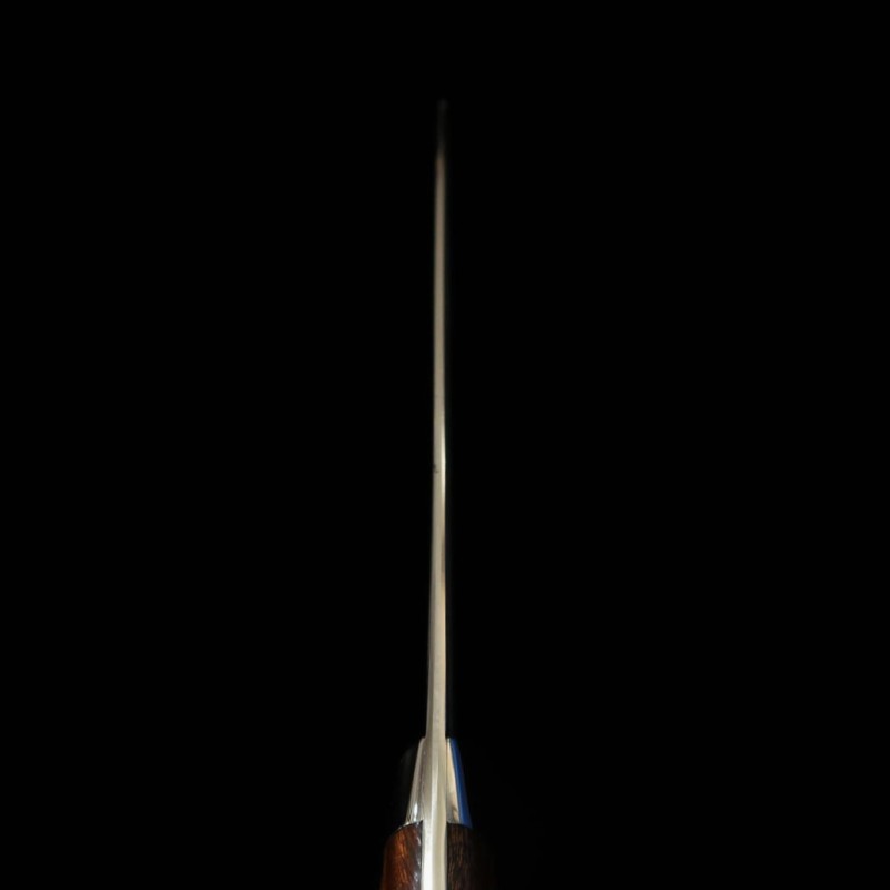 Saji Takeshi SAJI TAKESHI Santoku R2 Damasco Ironwood (180mm)
