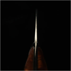 Saji Takeshi SAJI TAKESHI Santoku R2 Damasco Ironwood (180mm)