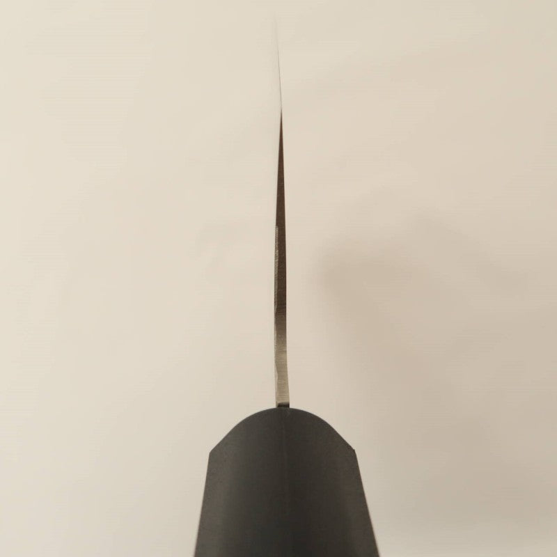 Sushi knife SAKAI TAKAYUKI, molybdenum steel, plywood handle (240mm) 