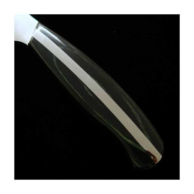和 NAGOMI Professional 国産特殊ステンレス鋼 筋引 (240/270mm)