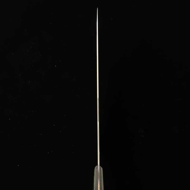 和 NAGOMI Professional 国産特殊ステンレス鋼 牛刀 (240mm)