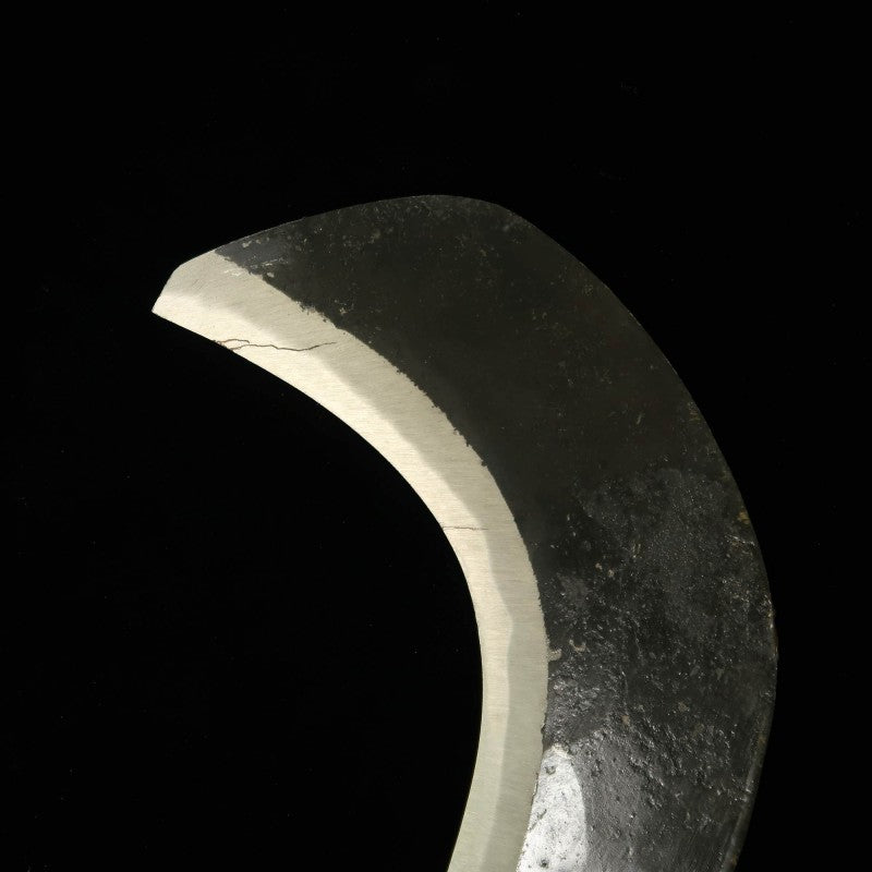 TAKEDA HAMONO Takeda, forja manual Bitchu, hoz de mano, acero Hitachi Shirogami #1 (210 mm)