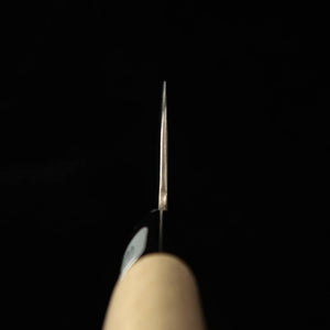 TERUYASU FUJIWARA Couteau japonais style Washiki, acier blanc n°1 Nashiji, gyuto, manche en magnolia (180-210mm)